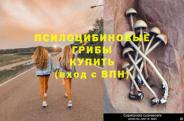 прущая мука Богородск
