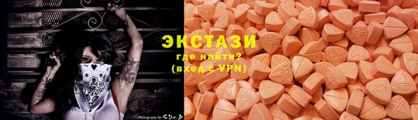 стаф Богородицк