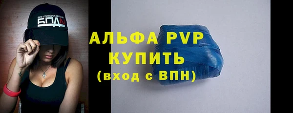 стаф Богородицк