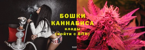 стаф Богородицк