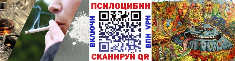 Псилоцибиновые грибы Psilocybine cubensis  Богородск 